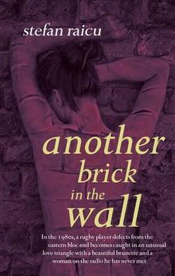 Cover for Stefan Raicu · Another Brick in the Wall (Paperback Book) (2012)