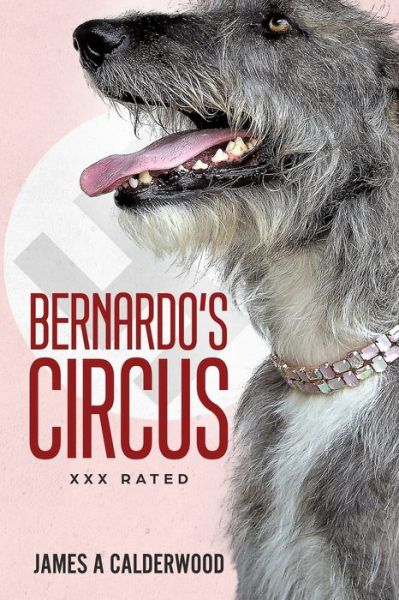 Cover for James Calderwood · Bernado's Circus (Pocketbok) (2018)