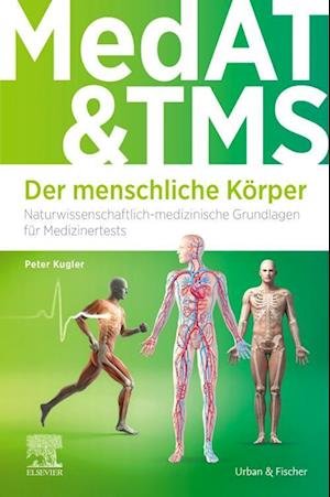 Cover for Kugler · Medat Und Tms - Der Menschliche KÃ¶rper (Bog)