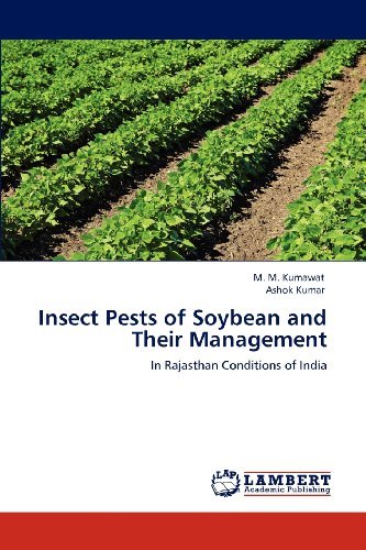 Cover for Ashok Kumar · Insect Pests of Soybean and Their Management: in Rajasthan Conditions of India (Paperback Bog) (2012)