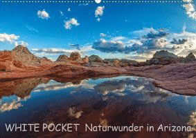 Cover for Wegmann · WHITE POCKET - Naturwunder in A (Bog)