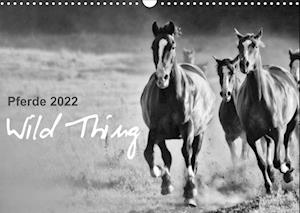 Pferde 2022 Wild Thing (Wandkalender 2022 DIN A3 quer) - Sabine Peters - Gadżety - Calvendo - 9783672999131 - 22 kwietnia 2021