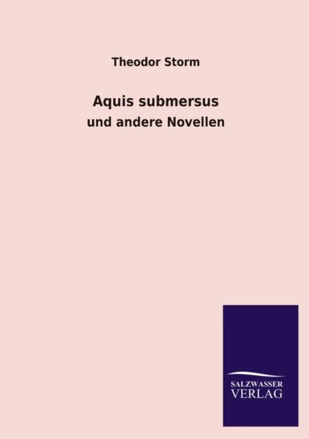 Cover for Theodor Storm · Aquis Submersus (Paperback Book) [German edition] (2013)