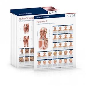 Anatomie, 6 Poster - Kvm - Other - KVM - 9783940698131 - June 10, 2009