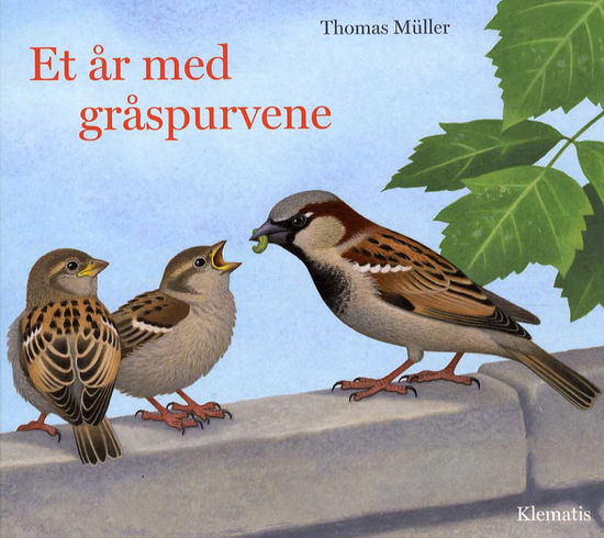 Cover for Thomas Müller · Et år med gråspurvene (Bound Book) [1st edition] (2013)