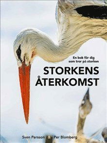 Cover for Per Blomberg · Storkens återkomst : en bok för dig som tror på storken (Bound Book) (2017)