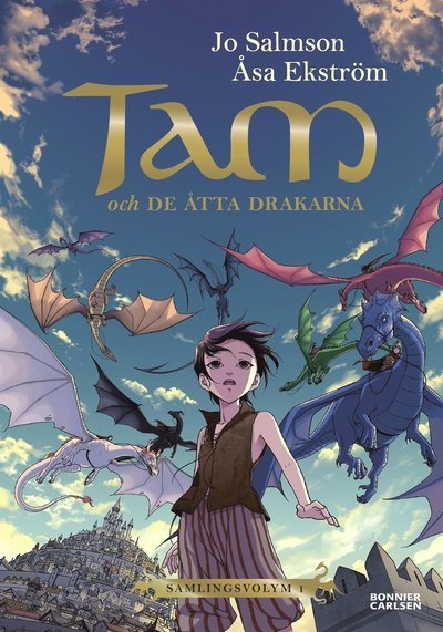 Cover for Jo Salmson · Drakriddare samlingsvolym: Tam och de åtta drakarna (Drakriddare, bok 1-3) (Landkarten) (2020)