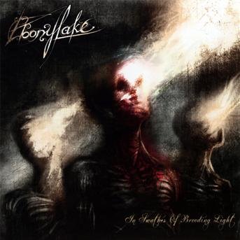 Cover for Ebonylake · In Swathes of Brooding Light (CD) (2013)