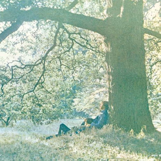 Cover for Yoko Ono · Plastic Ono Band (LP) [Limited Whte Vinyl edition] (2016)