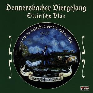 Cover for Donnersbacher Viergsang / Steirische Blas · I Bin Da Holtabua Drobn Auf Da Alm (CD) (1996)