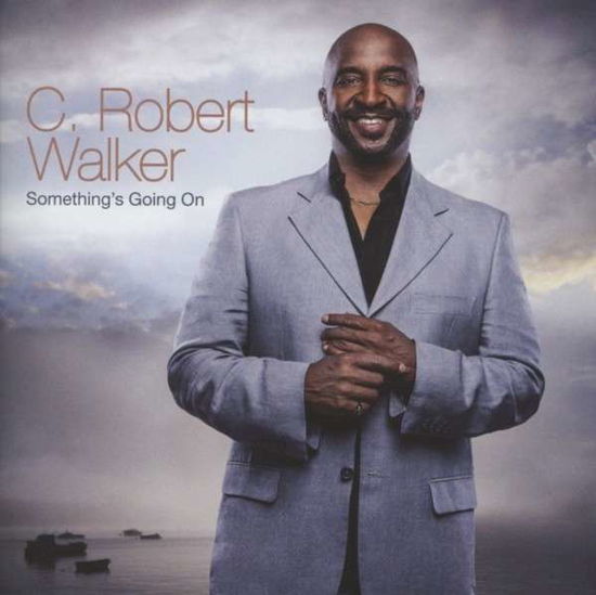 Something's Going On - Robert C. Walker - Musik - EXPANSION - 5019421136132 - 10. april 2013