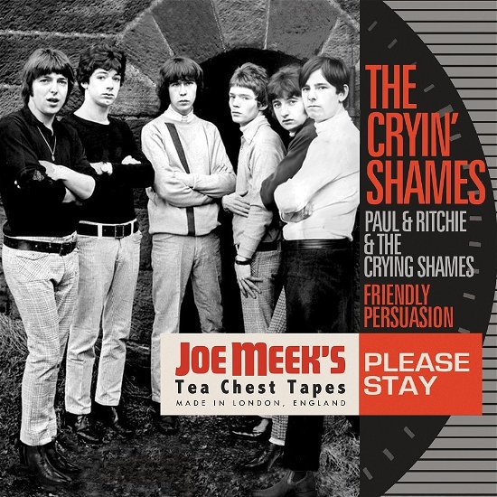 Cover for The Cryin' Shames · Please Stay (LP) (2024)