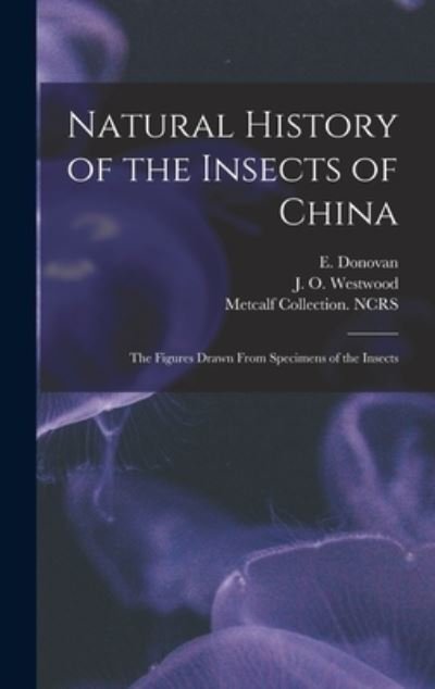 Natural History of the Insects of China - E (Edward) 1768-1837 Donovan - Bøker - Legare Street Press - 9781013304132 - 9. september 2021