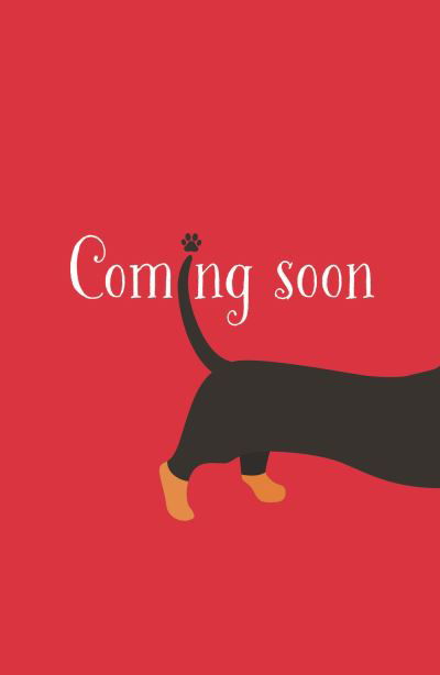 Sausage Dog Santa: Book 1 - Sausage Dog Series - Bella Swift - Bøker - Hachette Children's Group - 9781408373132 - 10. oktober 2024