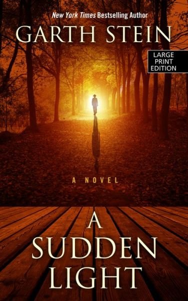 Cover for Garth Stein · A Sudden Light (Hardcover bog) (2015)
