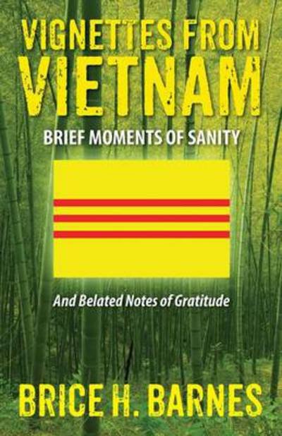 Cover for Brice H Barnes · Vignettes from Vietnam: Brief Moments of Sanity - And Belated Notes of Gratitude (Paperback Book) (2014)