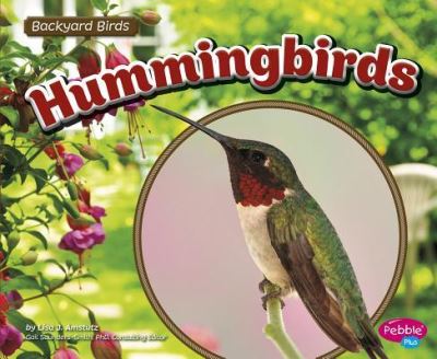 Hummingbirds - Lisa J. Amstutz - Książki - Capstone - 9781491485132 - 2016