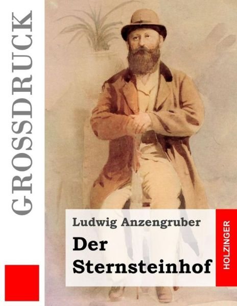 Cover for Ludwig Anzengruber · Der Sternsteinhof (Grossdruck) (Paperback Book) (2014)