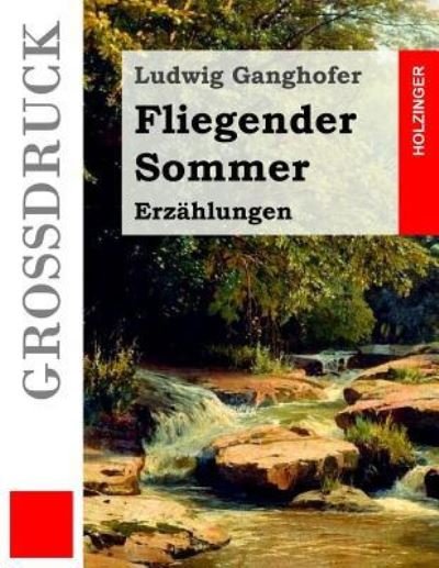 Cover for Ludwig Ganghofer · Fliegender Sommer Erzählungen (Taschenbuch) (2016)
