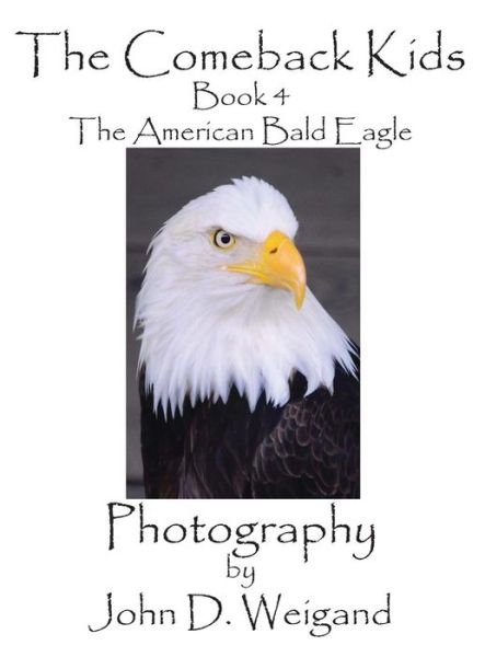 Cover for Penelope Dyan · The Comeback Kids, Book 4, the American Bald Eagle (Picture Book) (Innbunden bok) (2015)