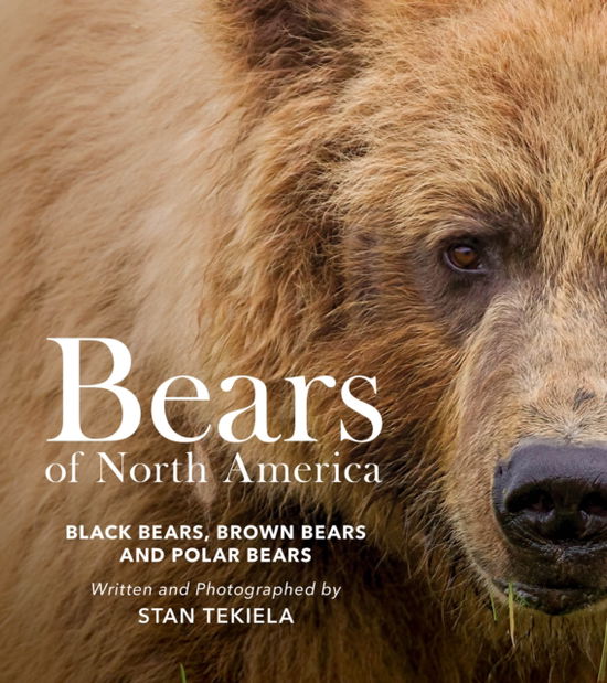 Bears of North America: Black Bears, Brown Bears, and Polar Bears - Favorite Wildlife - Stan Tekiela - Książki - Adventure Publications, Incorporated - 9781647554132 - 26 października 2023