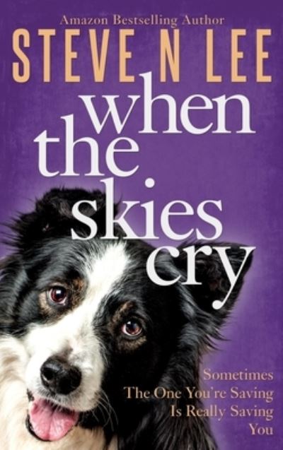 Cover for Steve N Lee · When The Skies Cry (Hardcover Book) (2021)