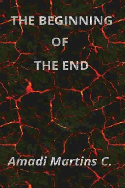 Cover for Amadi Martins C · The beginning of the end (Paperback Book) (2017)