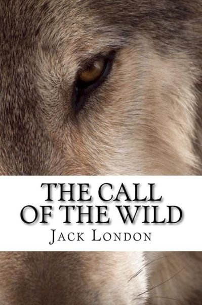 Cover for Jack London · The Call of the Wild (Paperback Book) (2013)