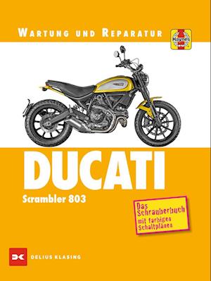 Ducati Scrambler 803 - Matthew Coombs - Books - Delius Klasing - 9783667125132 - October 7, 2022
