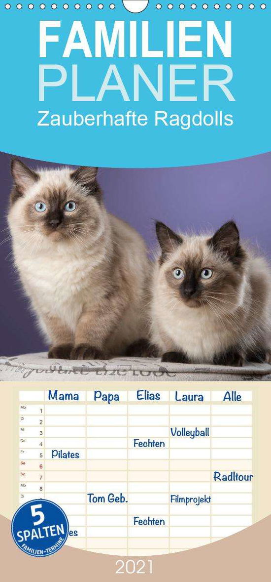 Cover for Noack · Zauberhafte Ragdolls - Familienpl (Book)