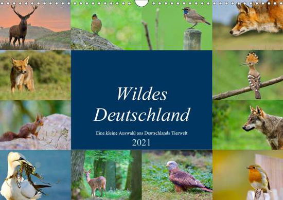 Cover for Freund · Wildes Deutschland (Wandkalender (Book)