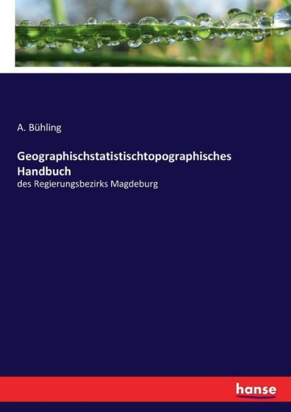 Cover for A Buhling · Geographischstatistischtopographisches Handbuch: des Regierungsbezirks Magdeburg (Paperback Book) (2017)