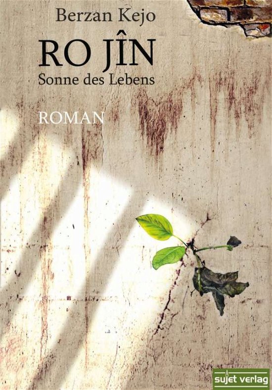 Cover for Pfleiderer · Tanz der Grundrechte (Book)