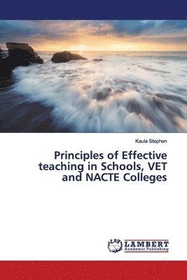 Principles of Effective teachin - Stephen - Książki -  - 9786139449132 - 15 lutego 2019