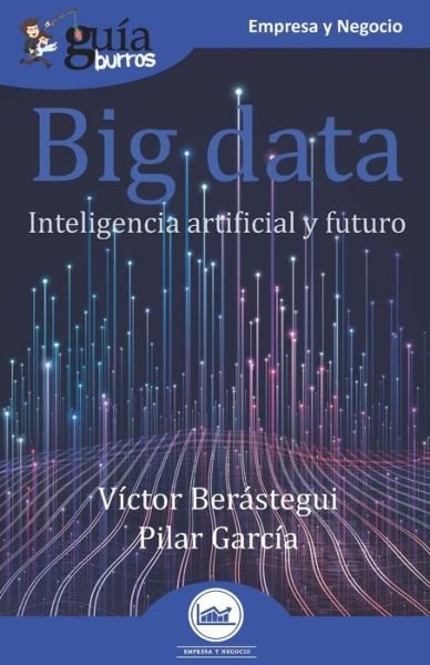 Cover for Pilar García · GuiaBurros Big data (Paperback Book) (2020)