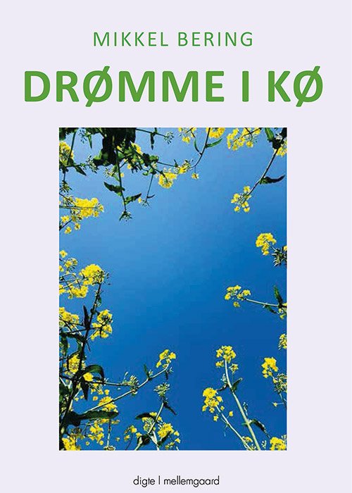 Cover for Mikkel Bering · Drømme i kø (Sewn Spine Book) [1. Painos] (2019)