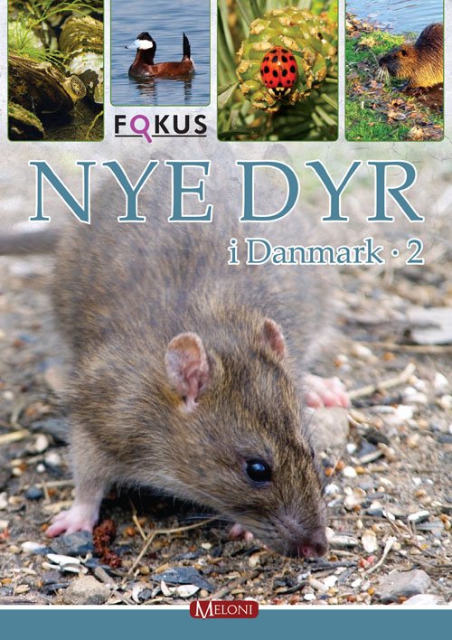 Cover for Lars Groth · Fokus: Nye Dyr I Danmark 2 (Bound Book) [1. Painos] [Indbundet] (2010)