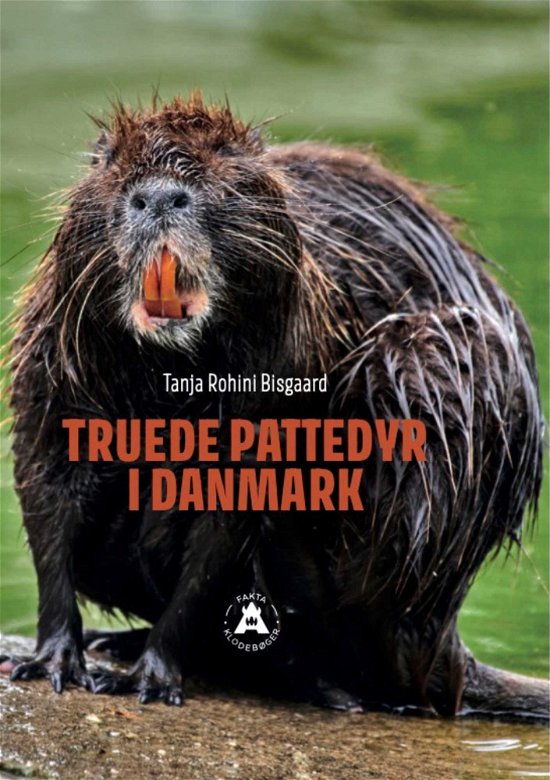 Tanja Rohini Bisgaard · FAKTA Klodebøger: Truede pattedyr i Danmark (Hardcover Book) [1. wydanie] (2024)