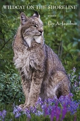 Cover for Lee a Jacobus · Wildcat on the Shoreline (Pocketbok) (2022)