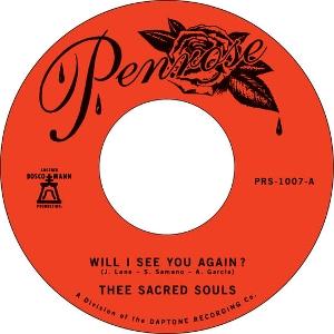 Cover for Thee Sacred Souls · Will I See You Again (LP) (2021)