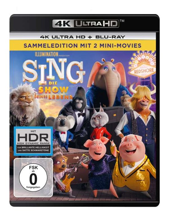 Sing-die Show Deines Lebens - Keine Informationen - Films -  - 5053083247133 - 6 avril 2022