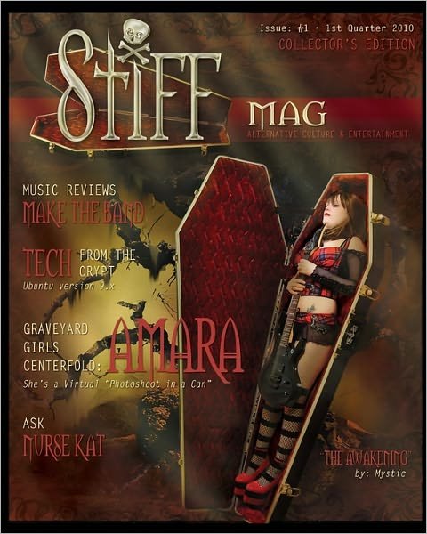 Cover for D Shane Trotter · Stiffmag (Paperback Book) [1st edition] (2009)