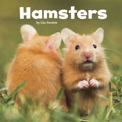 Cover for Lisa J. Amstutz · Hamsters - Our Pets (Hardcover Book) (2018)