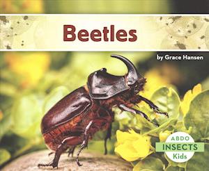 Beetles - Insects - Grace Hansen - Books - Capstone Classroom - 9781496610133 - August 1, 2016