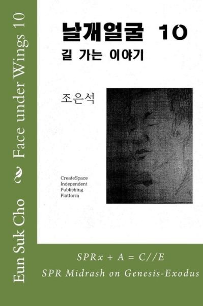 Cover for Eun Suk Cho · Face Under Wings 10 (Paperback Book) (2015)