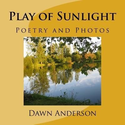 Cover for Create the Dawn · Play of Sunlight (Pocketbok) (2017)