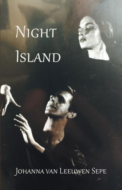 Night Island - Johanna Van Leeuwen Sepe - Książki - WingSpan Press - 9781595946133 - 25 października 2017