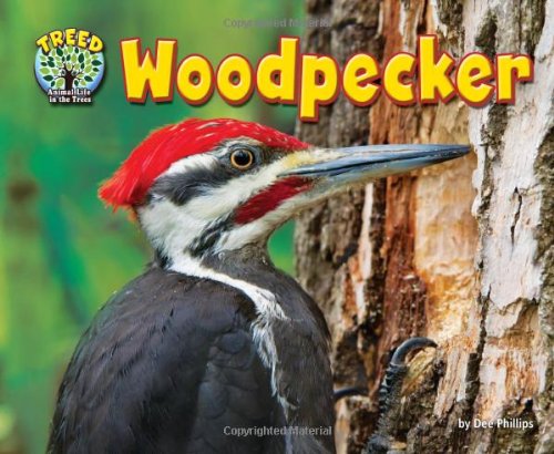 Cover for Dee Phillips · Woodpecker (Science Slam: Treed-animal Life in the Trees) (Hardcover Book) (2013)