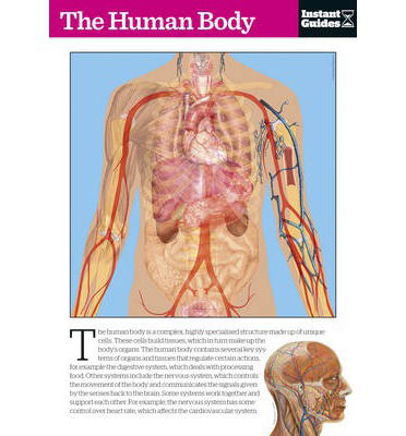 Cover for Instant Guides · The Human Body: The Instant Guide - Instant Guides (Paperback Book) (2011)