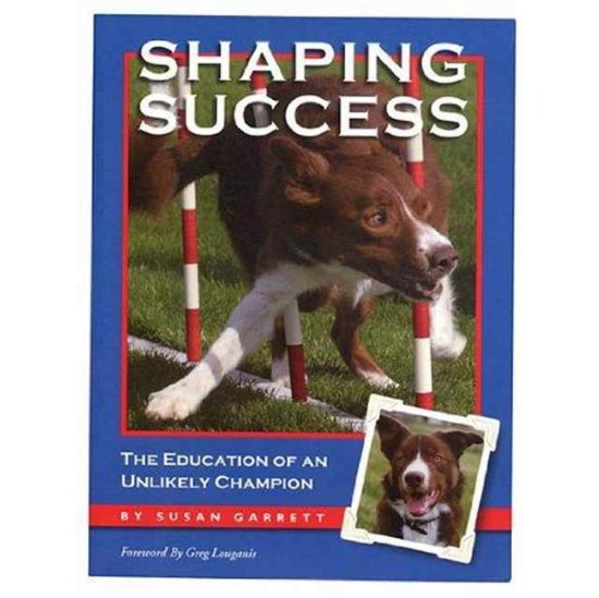 Cover for Susan Garrett · Shaping Success (Taschenbuch) (2016)